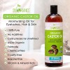 Castor Oil USDA Organic Cold-Pressed (16oz) 100% Pure Hexane-Free Castor Oil - Conditioning & Healing, For Dry Skin, Hair Growth - For Skin, Hair Care, Eyelashes - Caster Oil By Sky Organics