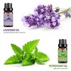 Lagunamoon Essential Oils Top 6 Gift Set Pure Essential Oils for Diffuser, Humidifier, Massage, Aromatherapy, Skin & Hair Care