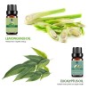 Lagunamoon Essential Oils Top 6 Gift Set Pure Essential Oils for Diffuser, Humidifier, Massage, Aromatherapy, Skin & Hair Care