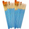 BOSOBO Paint Brushes Set, 2 Pack 20 Pcs Round Pointed Tip Paintbrushes Nylon Hair Artist Acrylic Paint Brushes for Acrylic Oil Watercolor, Face Nail Art, Miniature Detailing & Rock Painting, Blue