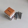 Jinssirey Metal Nails Picture Hanging Nails, Galvanized Nails, Small Nails for Hanging Pictures